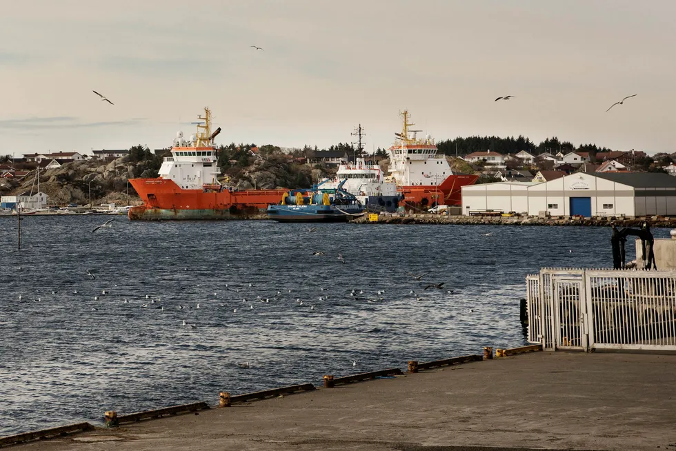 Aksjekursen til rederiet Solstad Farstad i Skudeneshavn falt gjennom store deler av fjoråret. Her ligger supplyskip i opplag. Foto: Marie von Krogh