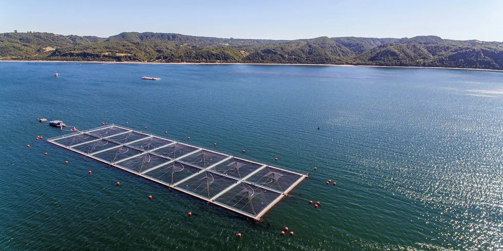 Et av anleggene til Salmones Camanchaca. Med en nedgang på 21 prosent så langt i år, er selskapet det av sjømatselskapene på Oslo Børs med svakest kursutvikling.