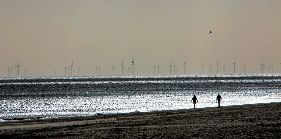 Dog walkers on Mablethorpe beach enjoy the winter sunshine with The Lincs Wind Farm in the distance.