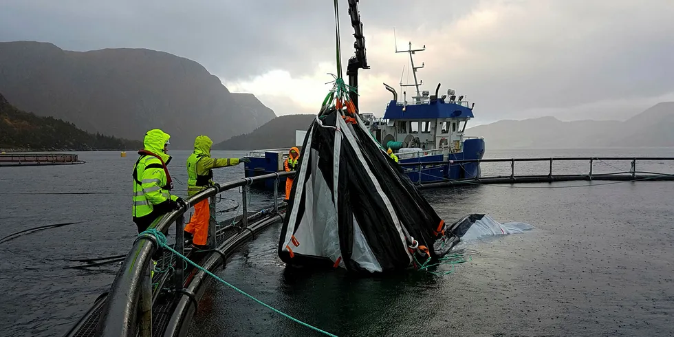 Selstad produserer utstyr og nøter for oppdrettsnæringen.