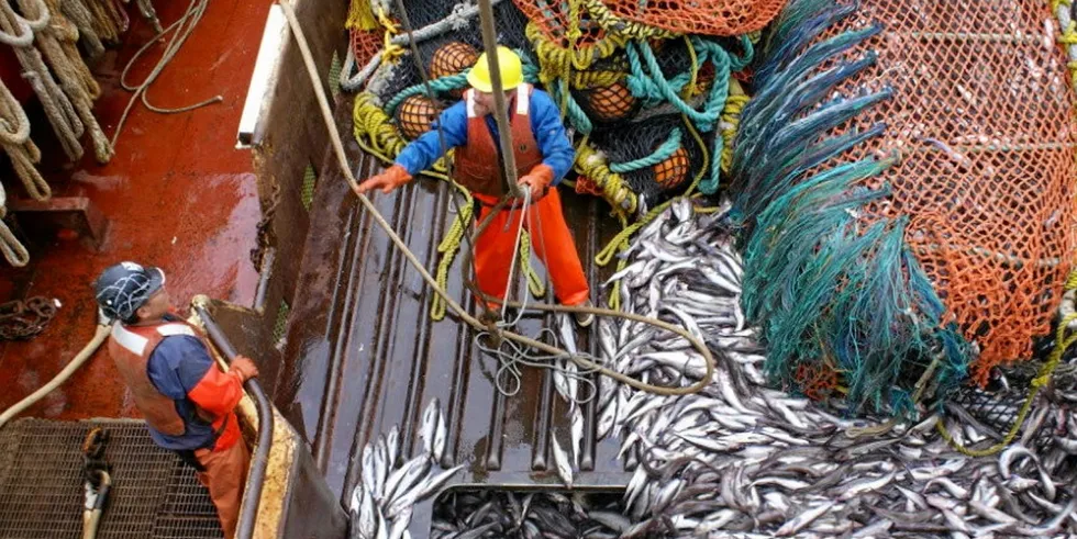 The Eastern Bering Sea Alaska pollock fishery accounts for more than one-third of total US commercial fishery landings.