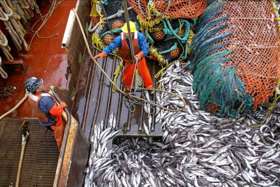 The Eastern Bering Sea Alaska pollock fishery accounts for more than one-third of total US commercial fishery landings.