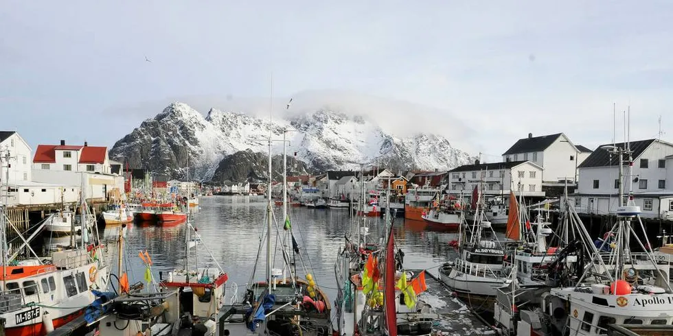 STADIG MINDRE: Det er fortsatt et stort antall sjarker Henningsvær under lofotfiske, men andelen denne flåten fisker blir stadig mindre.Foto: KJERSTI KVILE