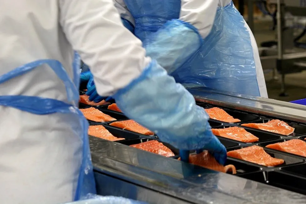 Land-based salmon promises further diversification for Grimsby's processors.
