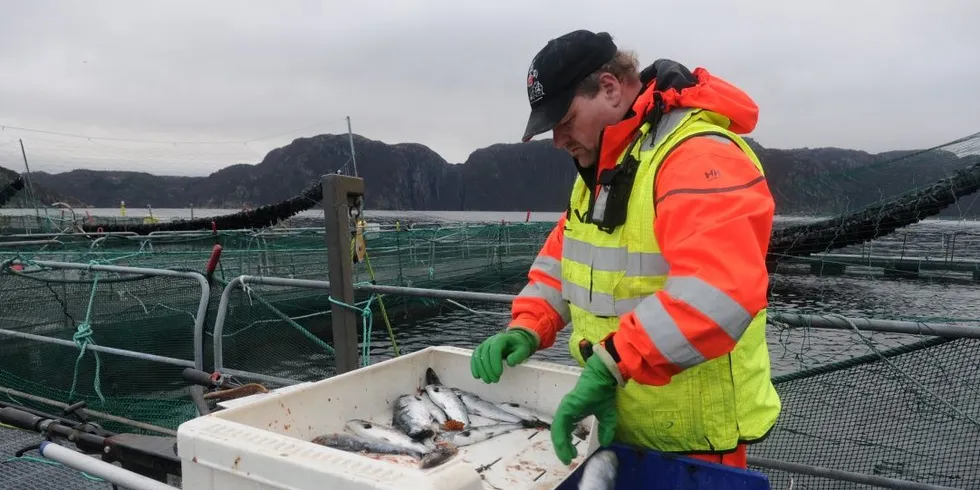 Driftstekniker Sigbjørn Loug har jobbet ved oppdrettsanlegget som nå eies av Marine Harvest i 24 år. Alle foto: Kjersti Kvile
