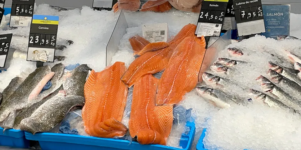Prices have risen sharply for several weeks, and historically high levels have been seen with salmon selling for NOK 120 (€11.80/$12.20) to NOK 130 (€12.70/$13.20) per kilo.
