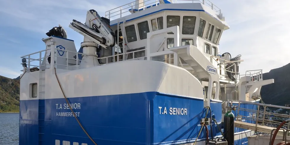 "T. A Senior". Foto: Einar Lindbæk