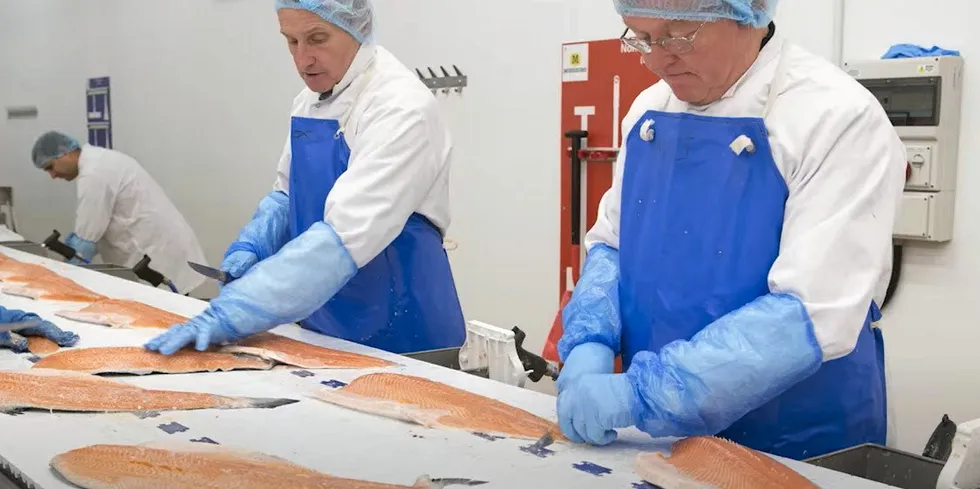 Workers quality check fresh salmon at a processing facility in Grimsby, England. The region is suffering from the dual hits of Brexit and COVID, which have caused labor shortages.