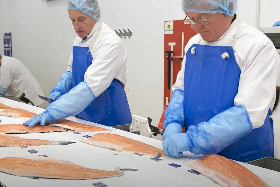 Workers quality check fresh salmon at a processing facility in Grimsby, England. The region is suffering from the dual hits of Brexit and COVID, which have caused labor shortages.