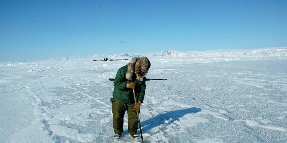 USIKKER FREMTID: Hva skjer med fiskebestandene og norsk fiskerinæring med høyere vanntemperaturer?Foto: Gunnar Sætra