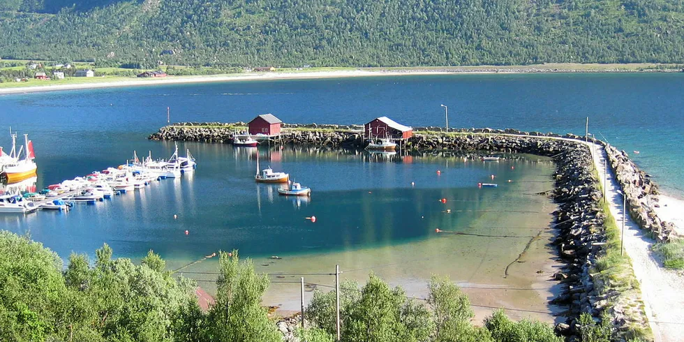 GILDESKÅL: Drømmer du om å eie en slik? Storvik fiskerihavn i Gildeskål kommune, Nordland, sto på salgslisten da salget startet og ble taksert til 350.000 kroner. Den er nå definert under merknad «i prosess med å bli solgt». Kommunen har fått utsatt frist med å bestemme seg til 15.oktober i år, samt at den er lyst ut for foreninger med samme frist.