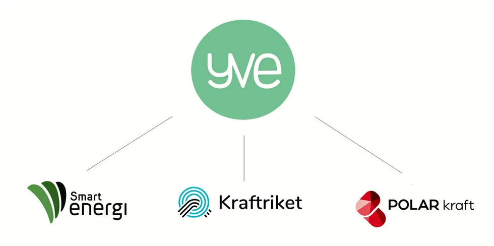 Fra nyttår blir Smart Energi en del av Yve-konsernet, og Fredrikstad-selskapet vil dermed samarbeide med Kraftriket og Polar Kraft.