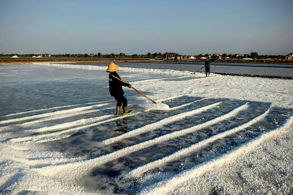 Operations: workers harvesting salt in Sidoarjo, East Java province, Indonesia