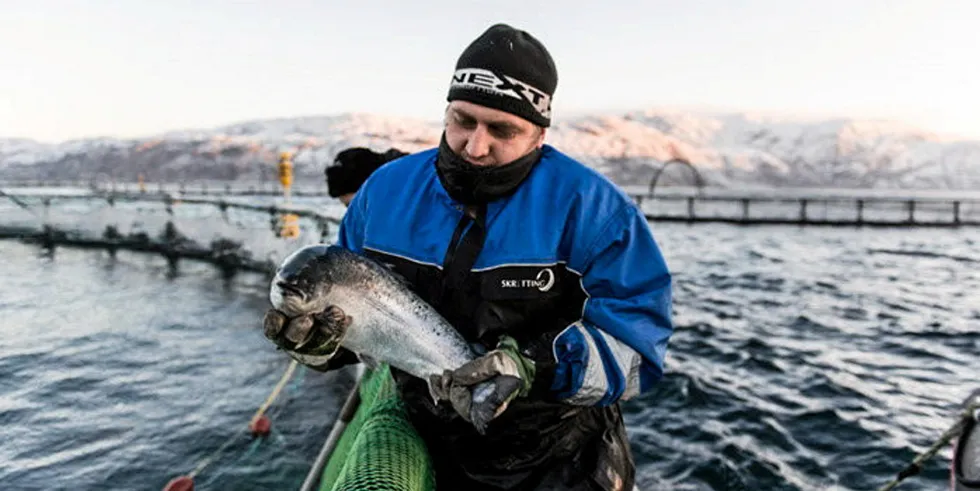 Russia's farmed salmonid production has hit a key milestone.