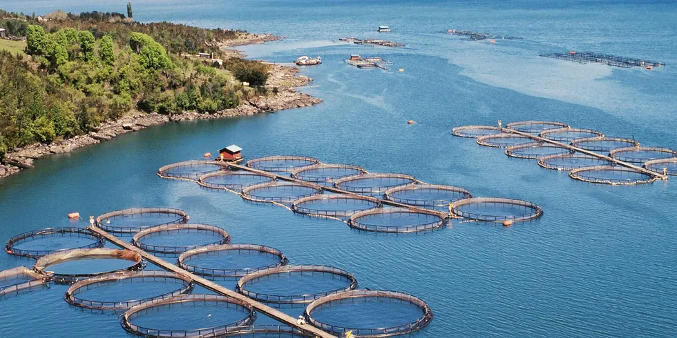 . Chile salmon farm.