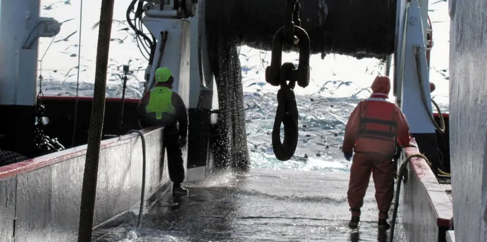 Crew members of Trident's F/V Sovereignty preparing to load nets full of Alaska pollock.
