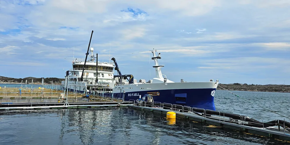 Prisene på den største fisken er godt over 100 kroner kiloen fredag. Illustrasjonsfoto av brønnbåten «Ro Fjell» fra Rostein ved ventemerd utenfor Salmar sitt slakteri på Frøya tidligere i sommer.