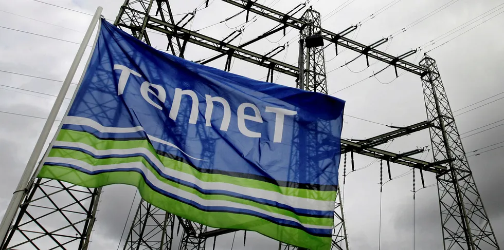 A Tennet flag flying in Wateringen.