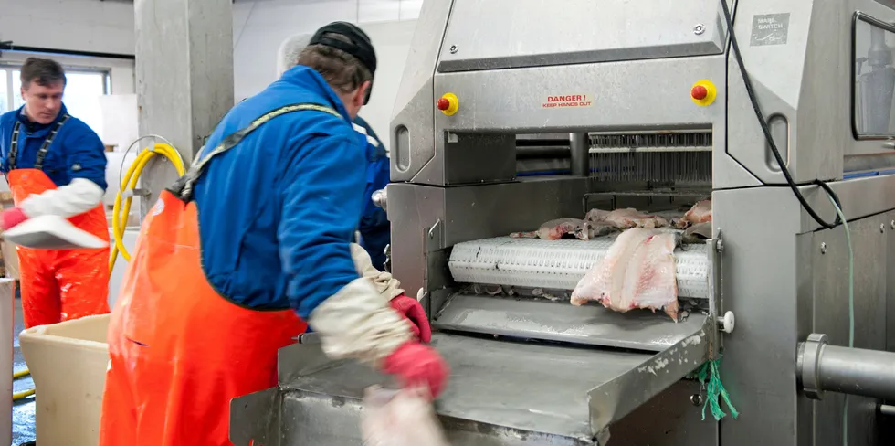 Fiskeflåten har vært gjennom en strukturendring som har gjort fiskeriene lønnsom. Nå må det tas noen tilsvarende grep for at landsiden også skal kunne tjene gode penger.