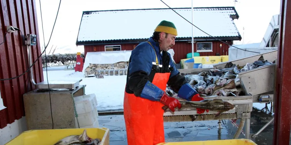 Torskenedgang kan være bra