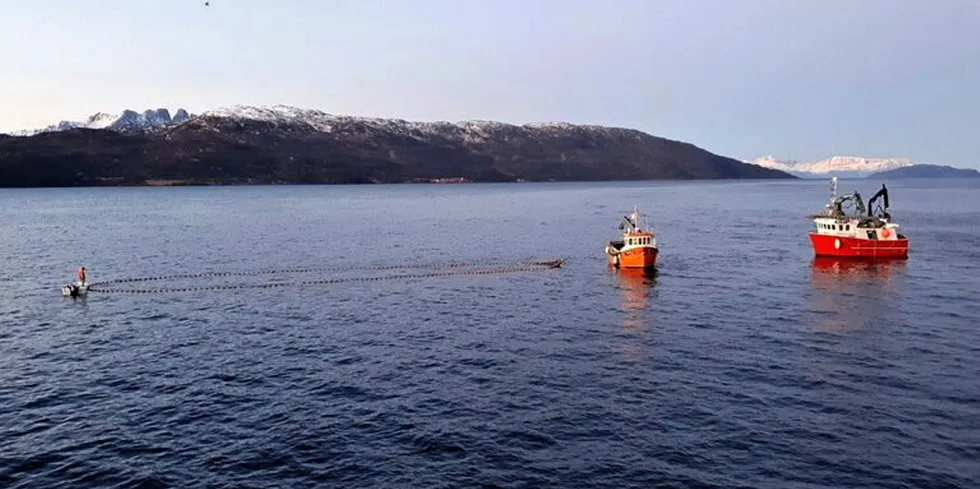 Sildesesongen på Kvænangen er satt to streker under for i år. Bildet er tatt fra «Svanaug Elise», som har vært føringsbåt for låssettere på feltet.