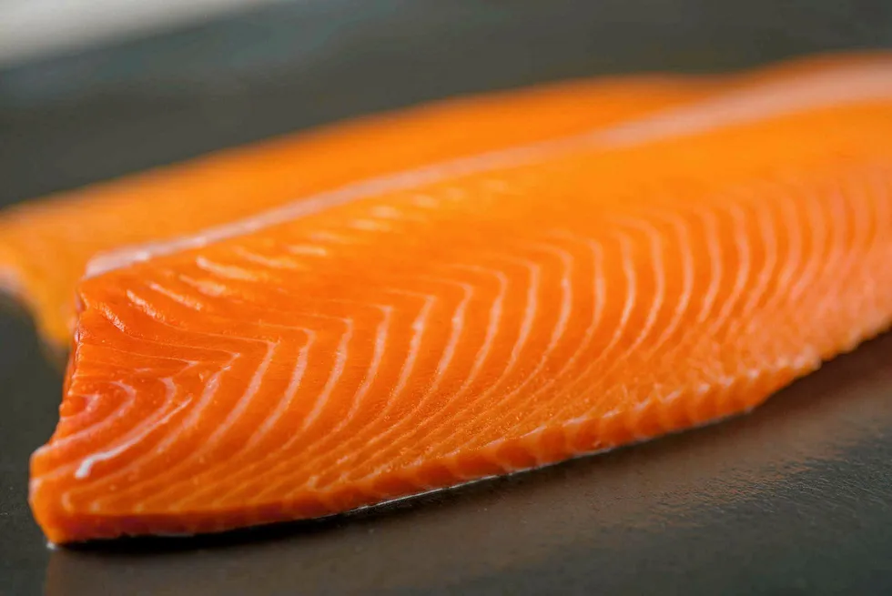 Chilean coho producers have their eyes on the prize of the US market.