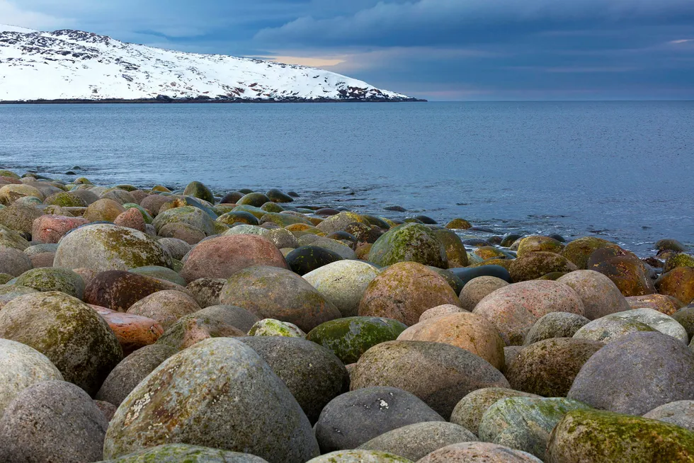 De historisk sett isfrie og fiskerike områdene sør i Barentshavet er godt forstått og forvaltet. Men hva er tilstanden og tålegrensene for det havet som åpner opp med isens tilbaketrekning? Spør forfatteren. Foto: IStockphoto/Getty Images
