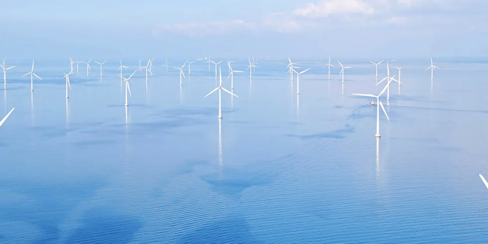 . RWE's Rodsand 2 offshore wind farm in the Danish part of the Baltic Sea.