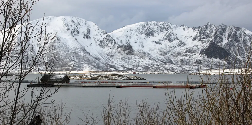 En lokalitet i Vesterålen i Nordland.