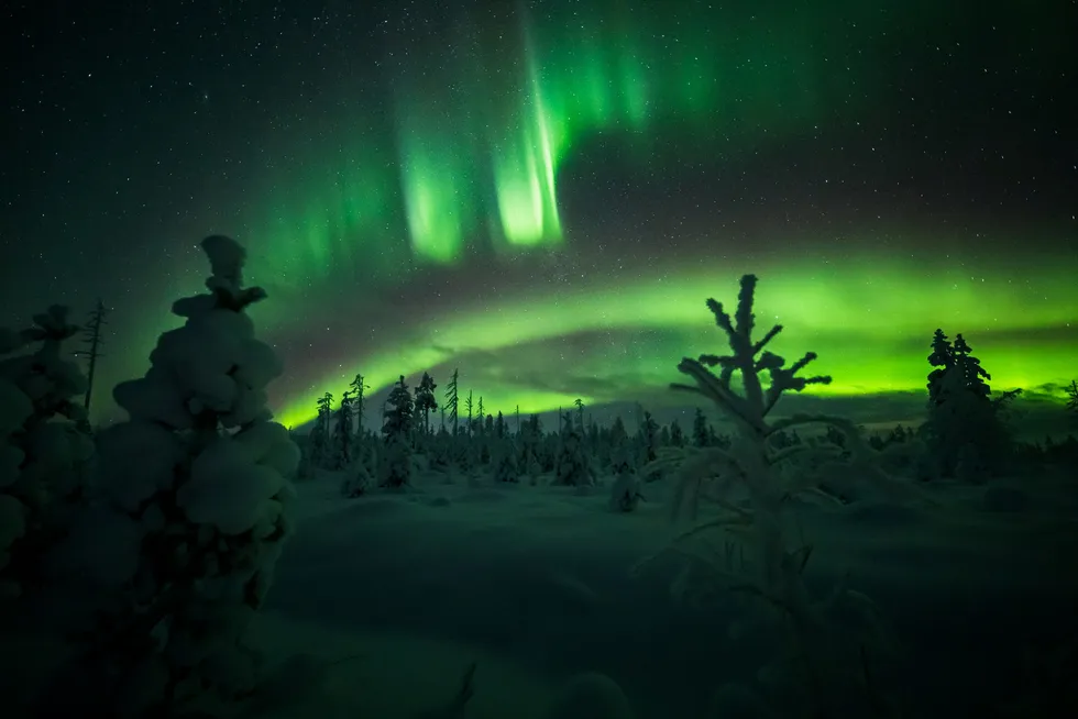 Switched on: the Northern Lights project in Norway is going full steam ahead