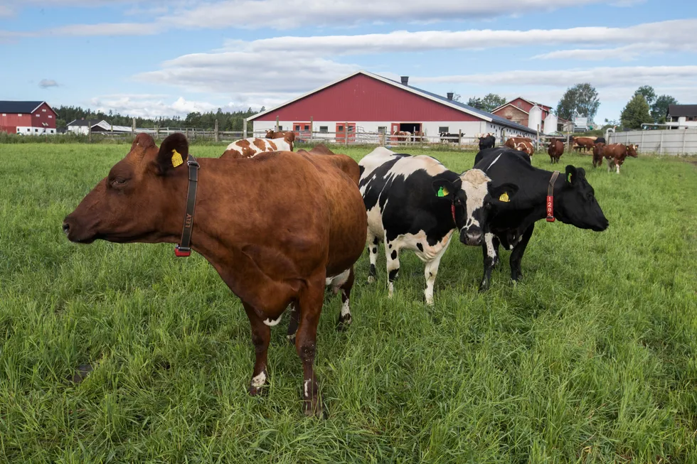 Færre nordmenn mener det er viktig å støtte landbruket.