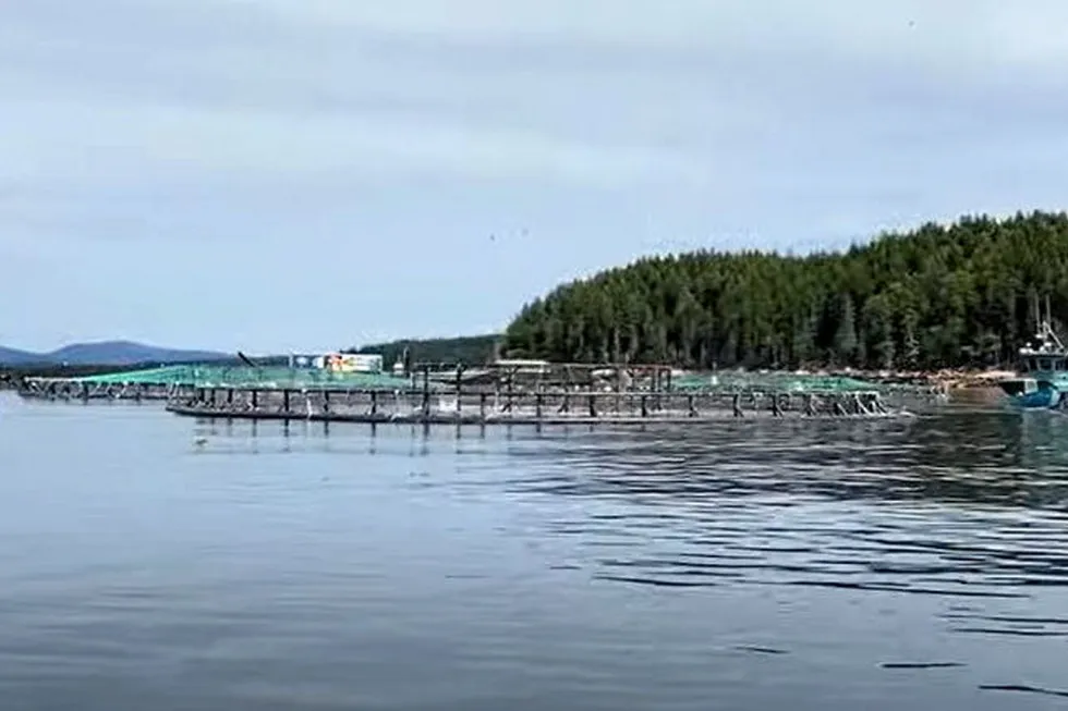 Cooke's salmon farm at Black Island in Maine lost fish in August due to low oxygen levels, according to the company.