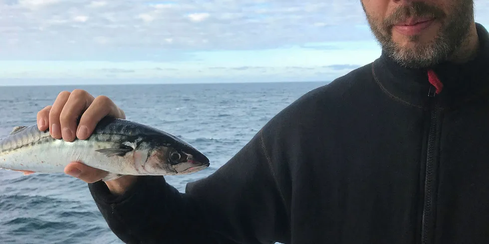 TOKTLEDER: Forsker Are Salthaug ved Havforskningsinstituttet har allerede fått flere gode svar fra det pågående makrelltoktet på norskekysten og ute i havet.