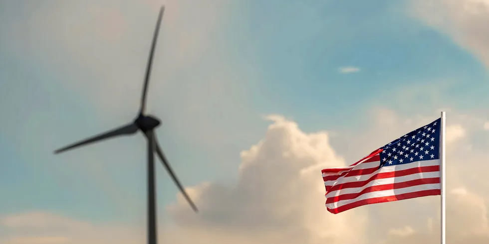 'Rare window of relative stability': US wind and solar buyers get price respite in Q1