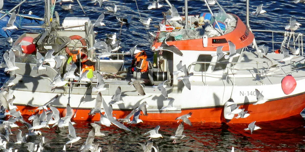 LANG DAG: Mandag ble en lang dag på Austnesfjorden for Svolvær-sjarken «Kranegutt».