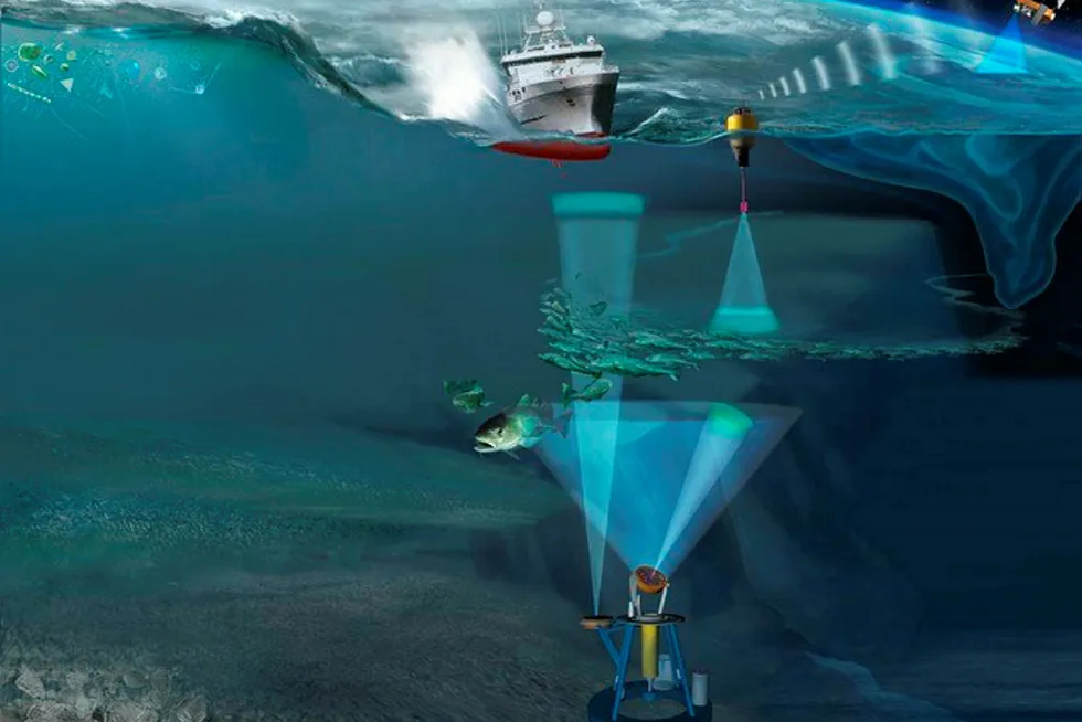 Observasjoner av livet i havet blir gjort med ny integrert teknologi. Det blir blant annet brukt bunnstående sensorplattformer, overflatebøyer, satellitter og fartøy.