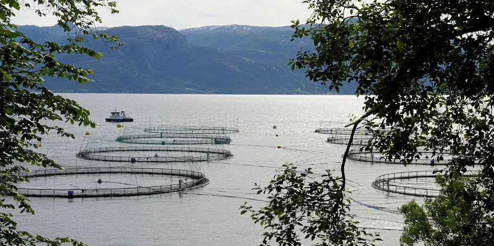 Å endre lokalitetsstrukturen i Hardangerfjorden skal no vurderast av Havforskingsinstituttet og Veterinærinstituttet.