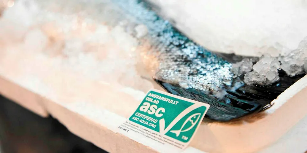 ASC, SeaChoice butt heads over updated salmon sea lice standard