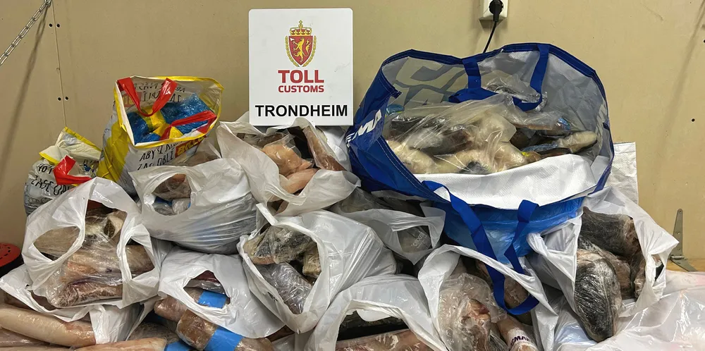 226 kilo filet tatt på Ådalsvollen i Trøndelag, ved grensa mot Sverige 12. mai i år.