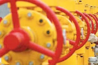 China’s WSP Holdings expects growth