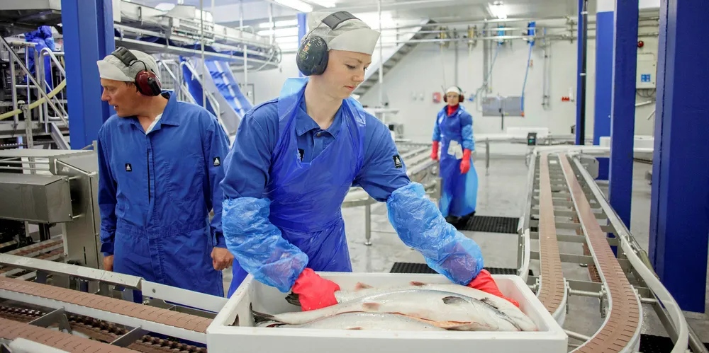 Whoa, that's plenty. The farmed salmon market is awash in fish.
