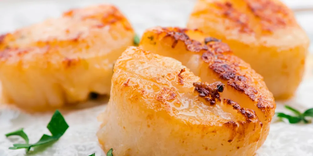 Last year Wanchese Fish Company expanded its scallop operating capacity with assets it acquired from Blue Harvest Fisheries.