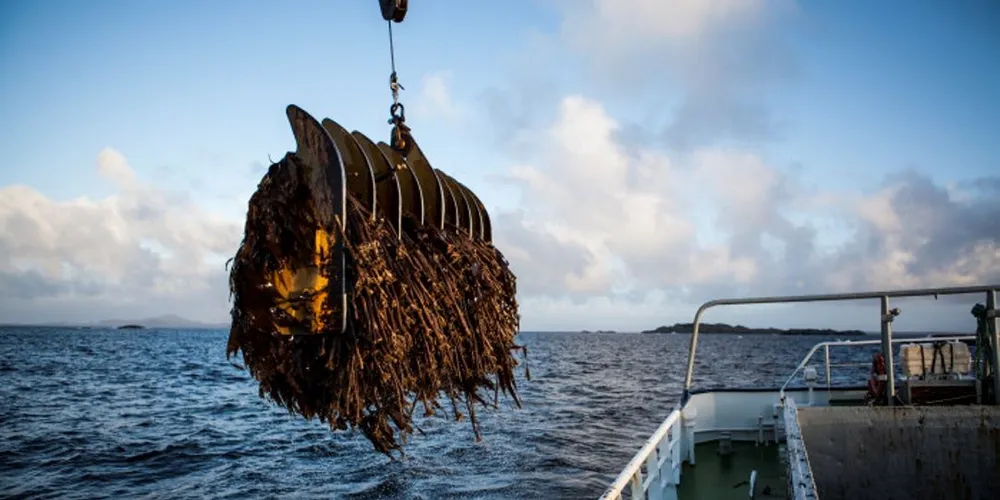 Taretrålere bør registreres som fiskebåter og utenlandske eiere bør fortsatt få tillatelse å eie trålerne, mener regjeringen. (Ill.foto: Thor Haakon Ulstad)