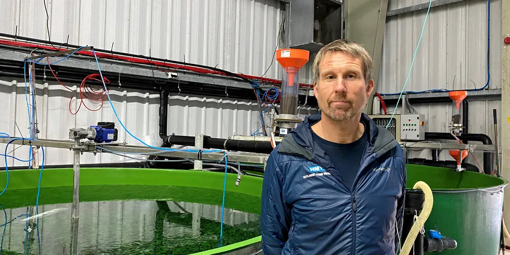 Halvard Hovland, daglig leder ved Havlandet Marin Yngel mener Norge kan bli like stor på oppdrettstorsk som man er på oppdrettslaks.