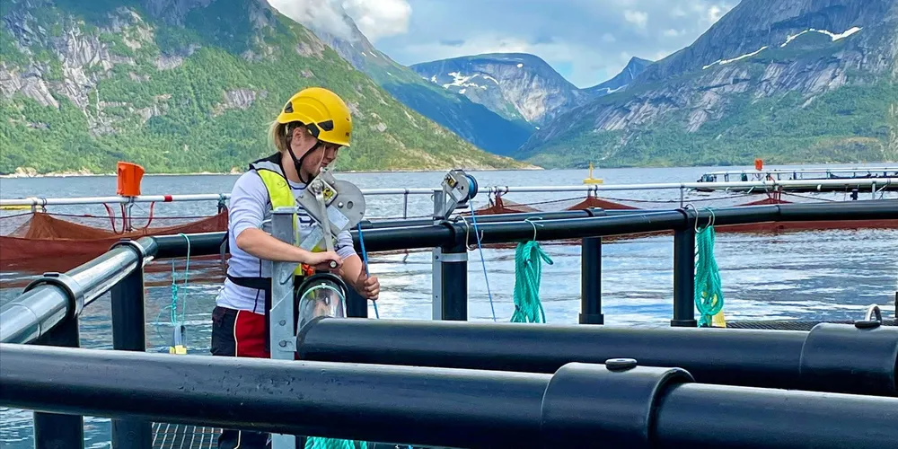 Sofie Alvestad Forfang er sommervikar hos Cermaq, her i Hellarvika.
