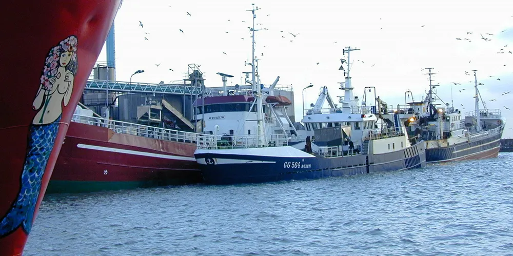 Danske trålere blir rammet av nytt verneområde. Her fra Skagen, der de leverer industrifisk fra Østersjøen.