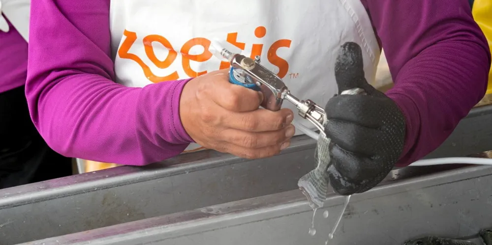The development of a vaccine has been bolstered heavily by private donations.