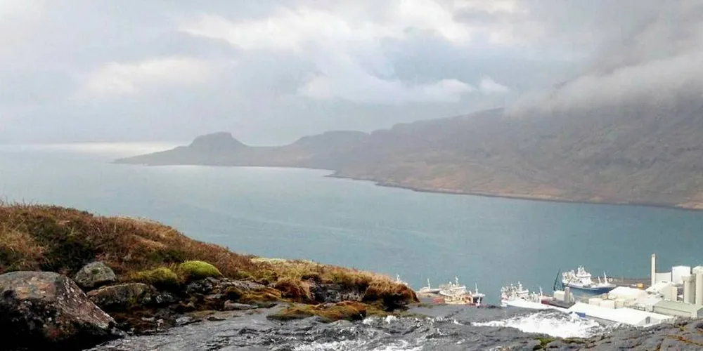 EN UKE IGJEN: Flåten har ikke fisket mer enn en tredjedel av loddekvoten ved Island. Det er bare en uke igjen før fiskeriet for den norske flåten stoppes.Arkivfoto: «Slaatterøy»
