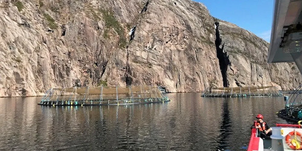 Mowi Canada East's Little Bay site.