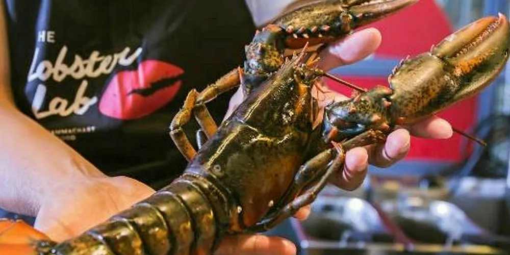 Along with shrimp, lobster is a key focus of Thai Union's product push in China.